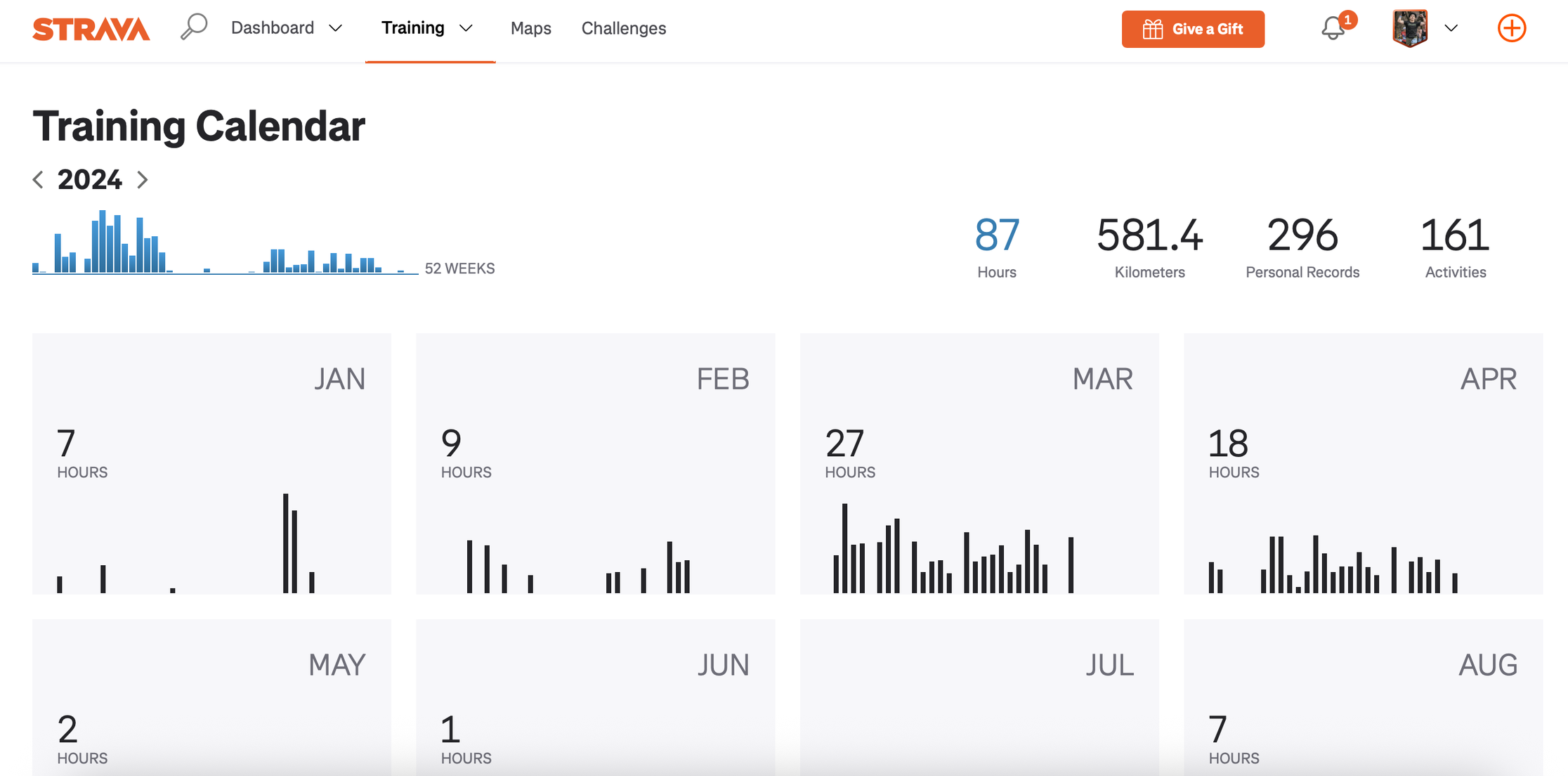 Strava Training Calendar showing 867 runs of data